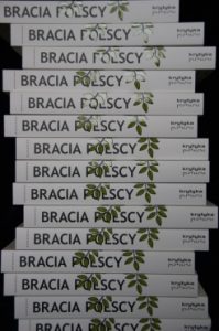 Bracia polscy. Przewodnik Krytyki Politycznej by Jakub Majmurek Bracia polscy. Przewodnik Krytyki Politycznej by Jakub Majmurek