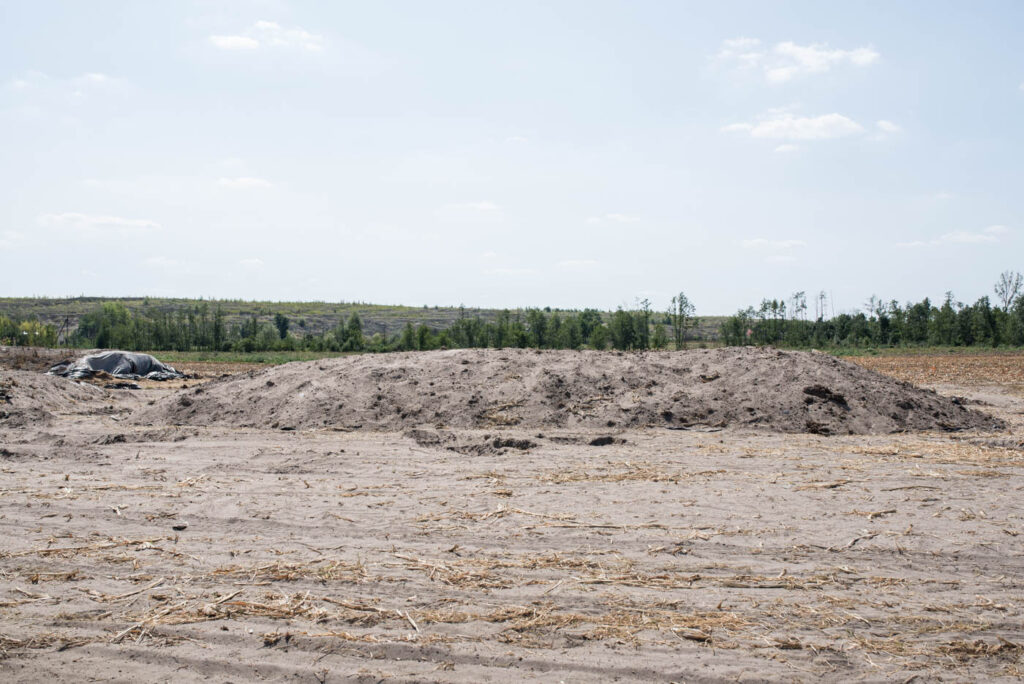 Fot. Jakub Szafrański