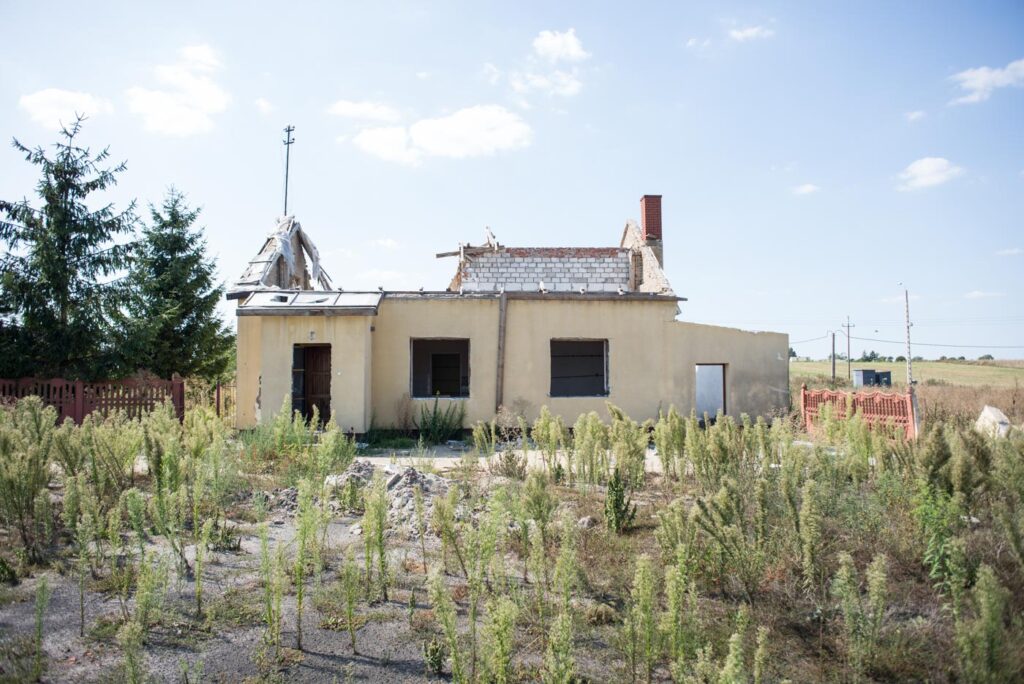 Fot. Jakub Szafrański