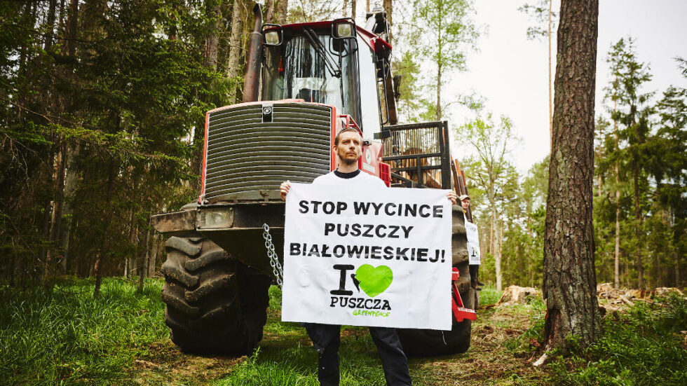 puszcza-blokada-wycinki