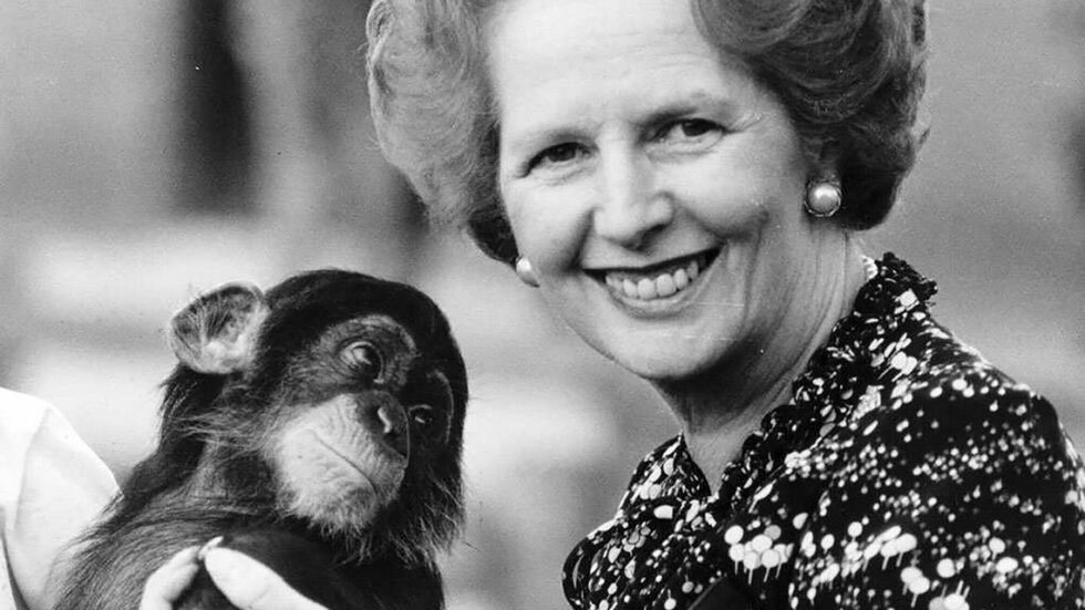 Fot. Levan Ramishvili/flickr.com CC0