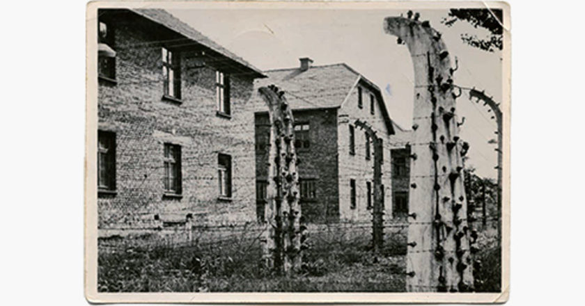 pozdrowienia-z-auschwitz-szypulski