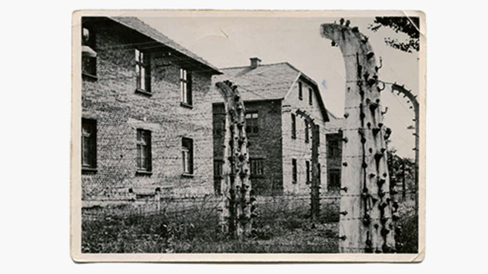 pozdrowienia-z-auschwitz-szypulski