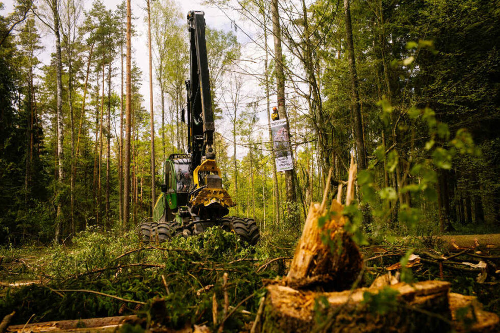 puszcza-bialowieska-blokada