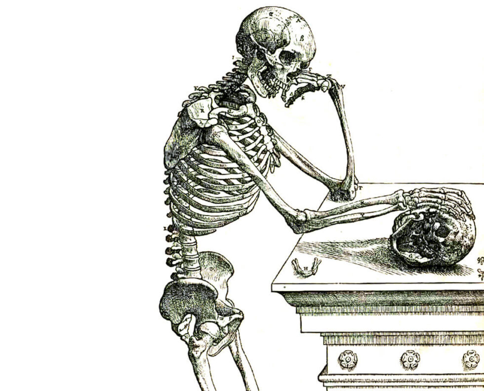 Vesalius_164frc_small_cropped