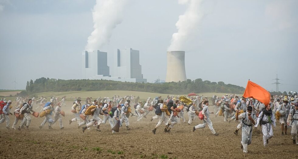 Fot. Petr Zewlak Vrabec