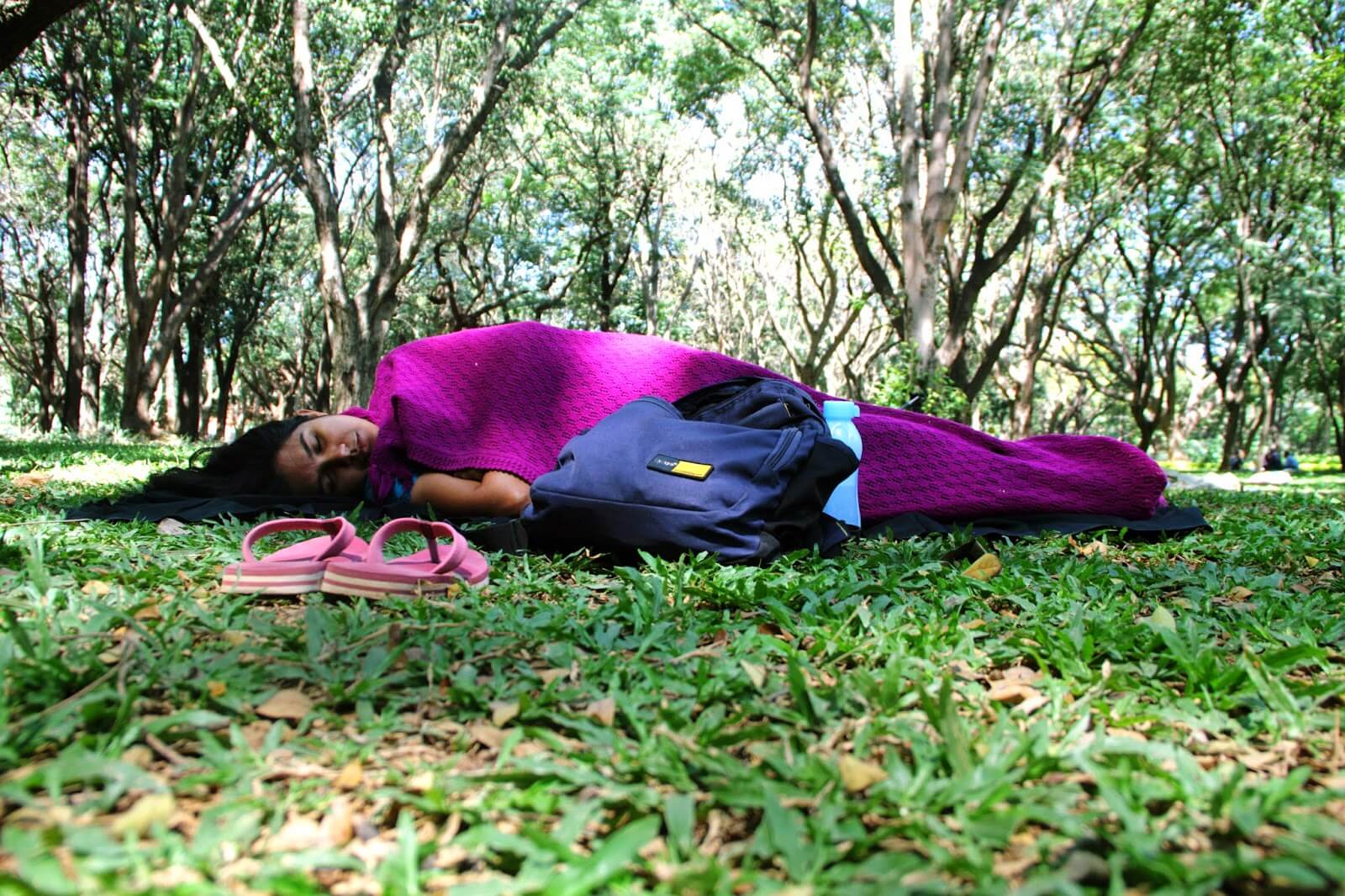 Meet To Sleep, park Cubbon w Bangalore, 2015 rok. Fot. blanknoise.org