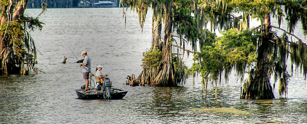 Fot. Peter Clark, via flickr.com