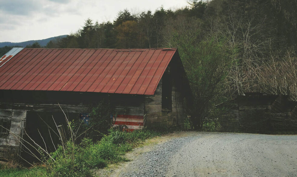 elegia-dla-bodokow-okladka