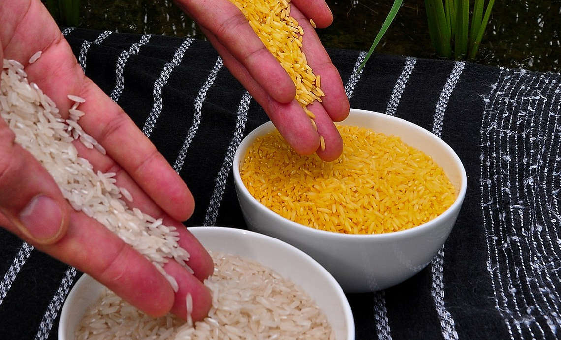 Golden-Rice