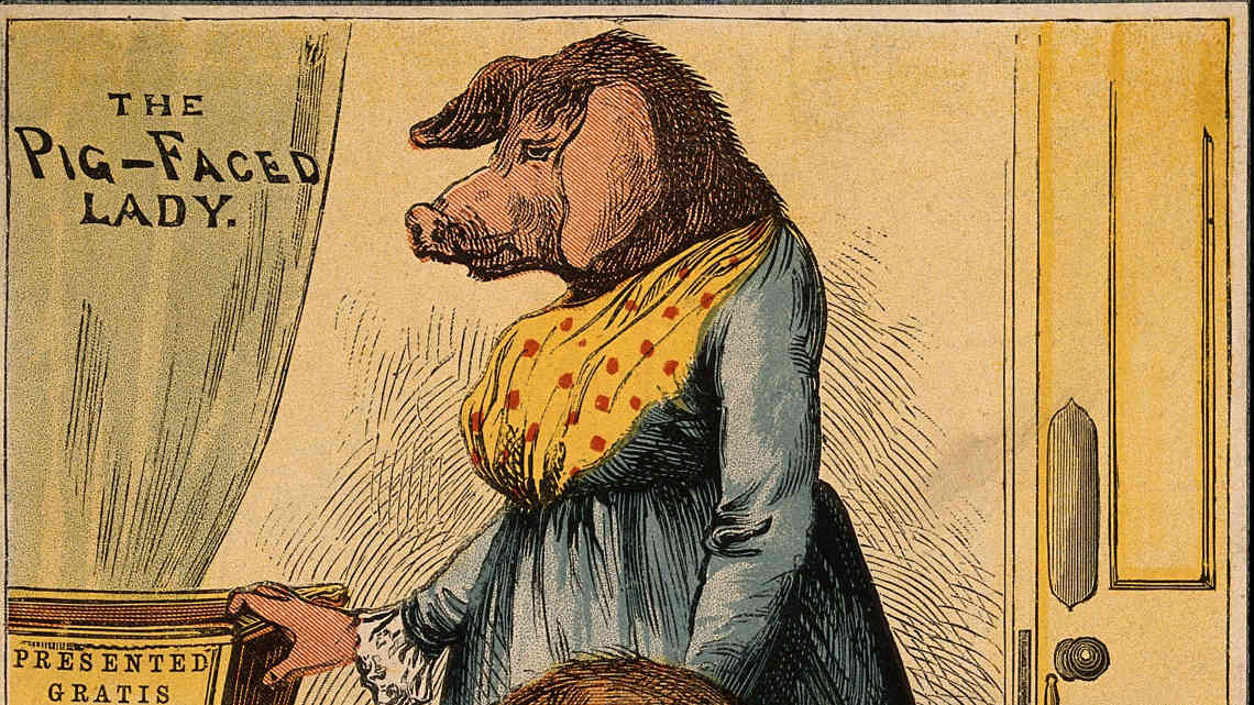 pig-head-lady