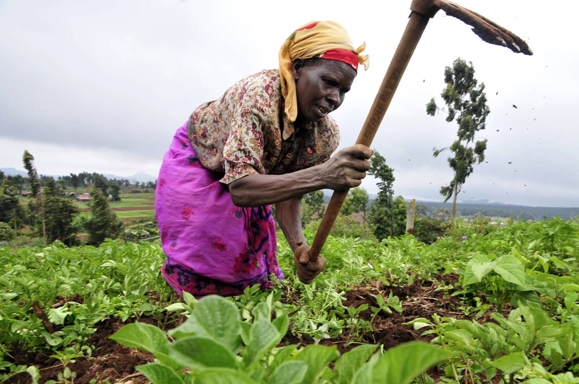 kenia-farmerka