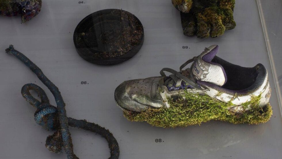 Diana Lelonek, Instytut dla żywych rzeczy, 2016 (fot. Marcin Wysocki, za materiały wystawy Najpiękniejsza katastrofa CSW Kronika)