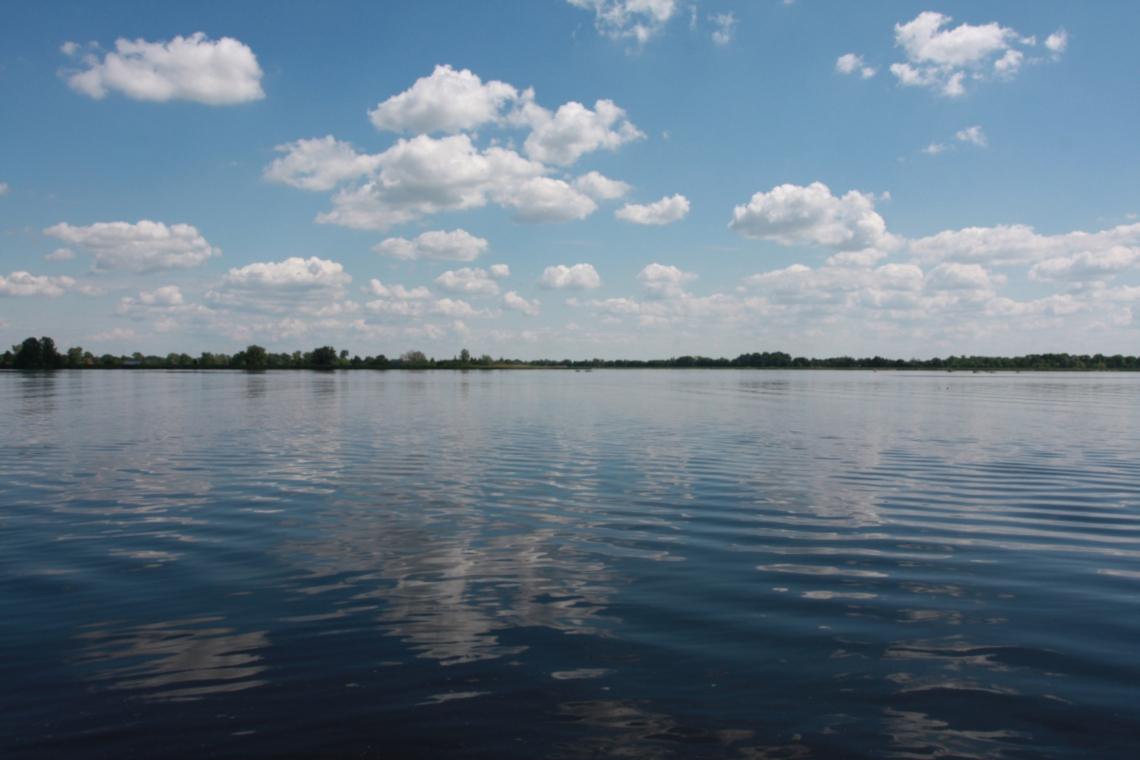 narew-adam-robinski