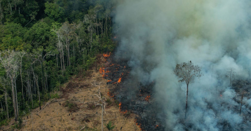 Amazonia las pożar