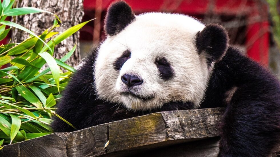 Fot. Chris Curry/unsplash.com