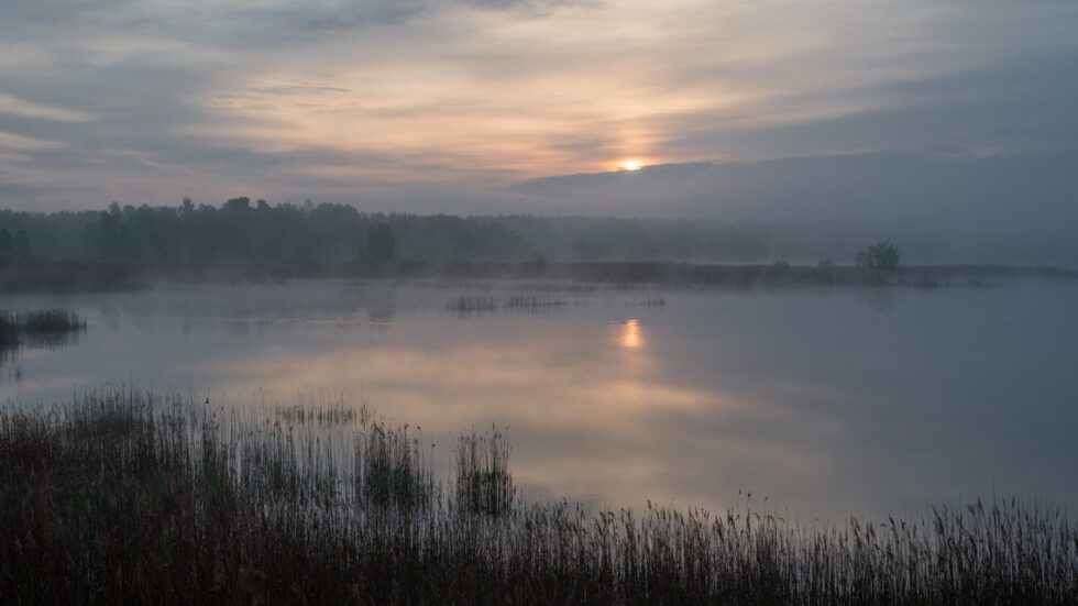 Bagna w Poleskim Parku Narodowym, widok z wieży obserwacyjnej na ścieżce dydaktycznej „Perehod”, fot. Jakub Szafrański