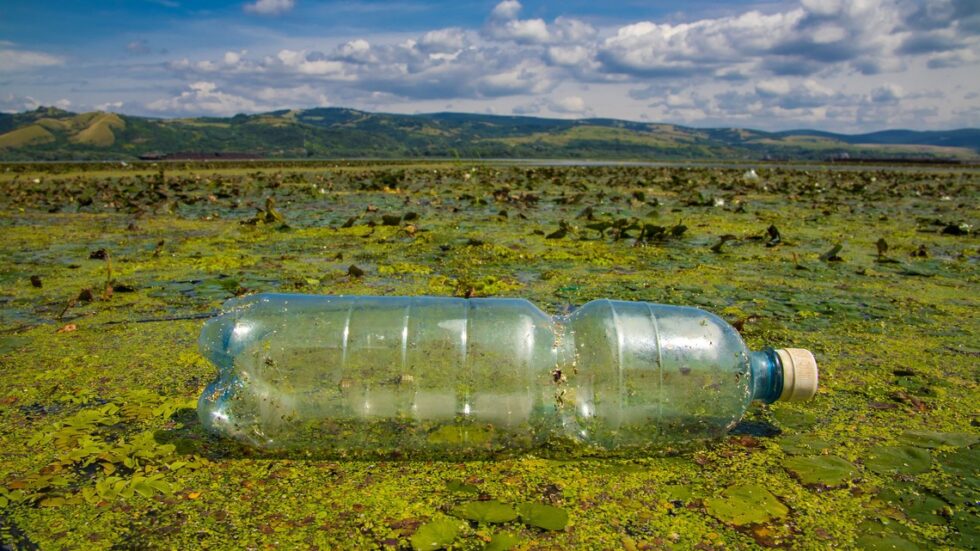 Fot. Ivan Radic/flickr.com CC BY 2.0