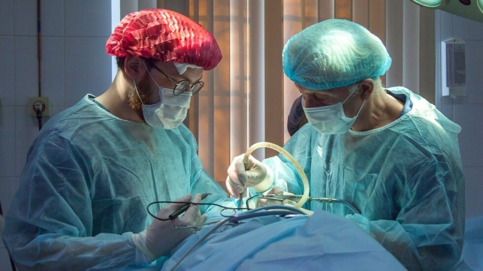 Fot. Olga Guryanova/unsplash