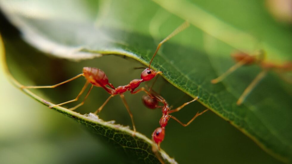 Fot. MD_JERRY/Unsplash