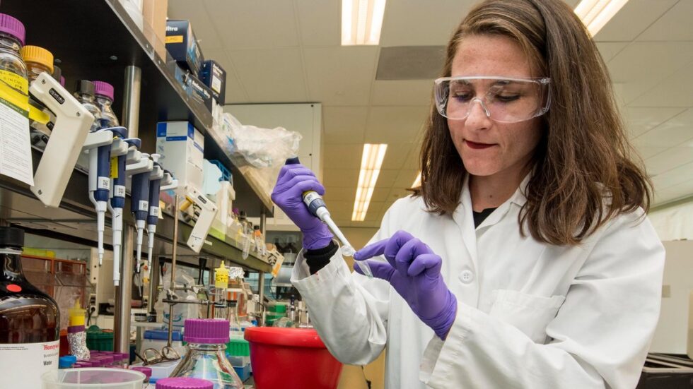 Fot. Science in HD/Unsplash