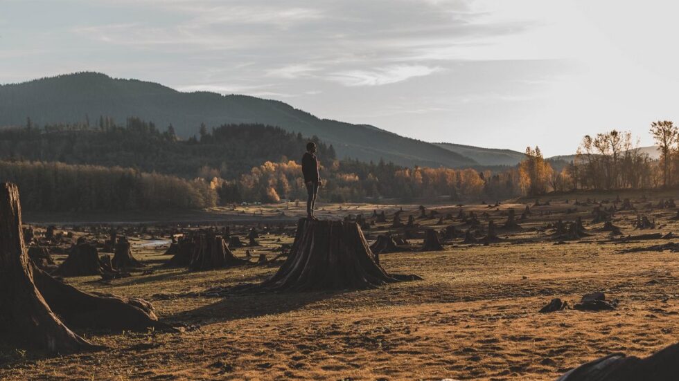 Photo by Dave Herring on Unsplash