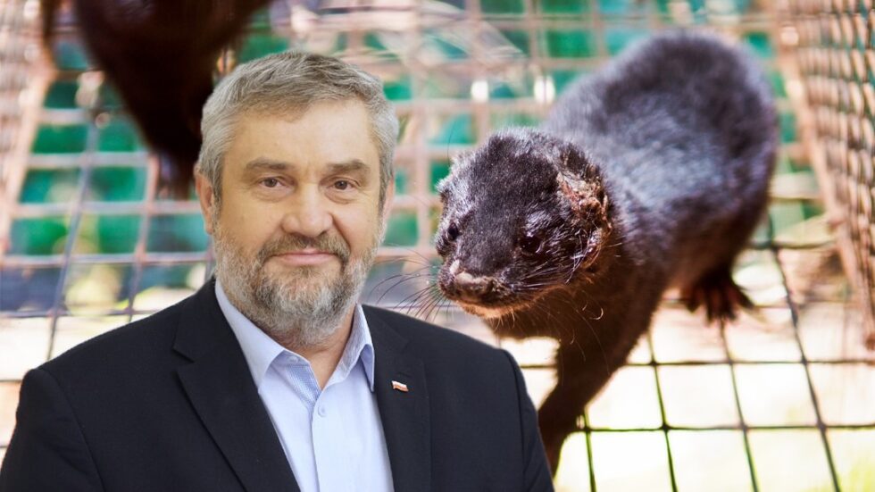 Fot. TheAnimalDay.org, Adam Kraina/wikimedia CC BY-SA 4.0. Edycja KP.