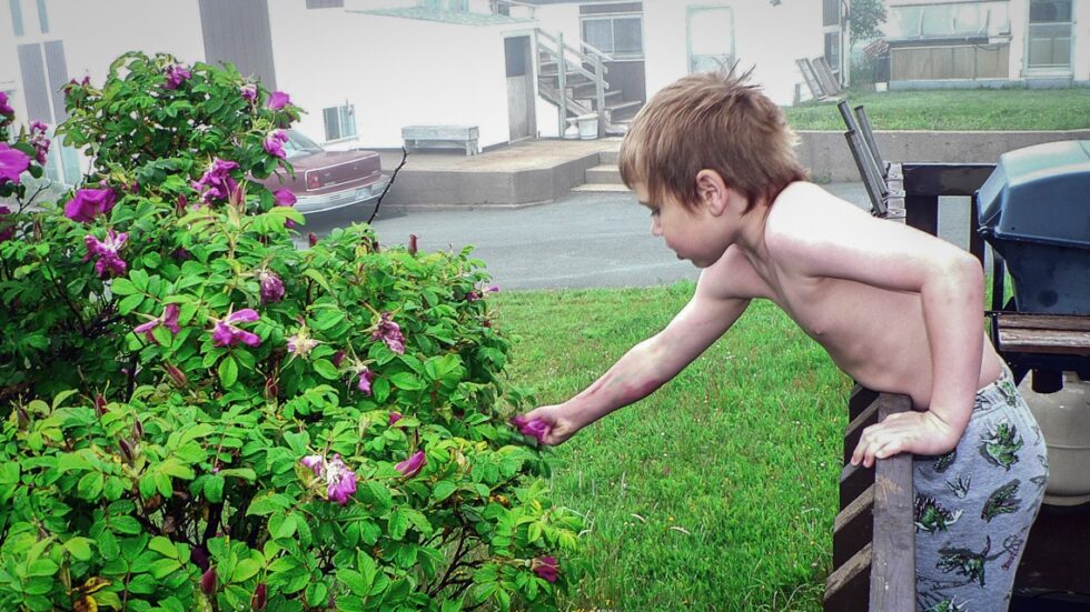 Fot. Charlene Croft/flickr.com CC BY-NC-ND 2.0