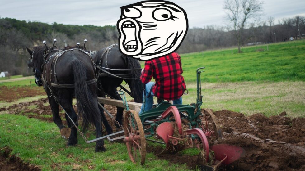 Fot. Phinehas Adams/Unsplash, pngegg.com. Edycja KP.