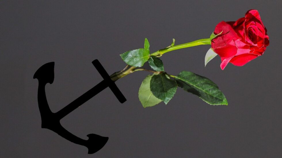 Fot. Frank Shepherd/flickr.com. Edycja KP.