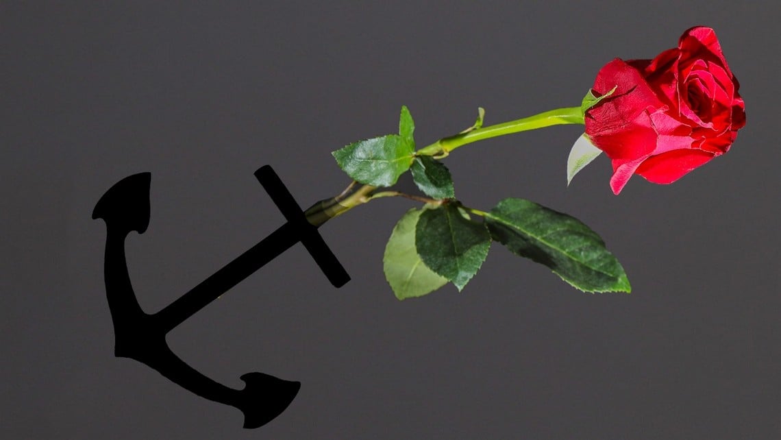 Fot. Frank Shepherd/flickr.com. Edycja KP.