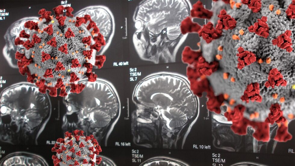 Fot. Rosario Lizana/flickr.com, CDC/Unsplash. Edycja KP.