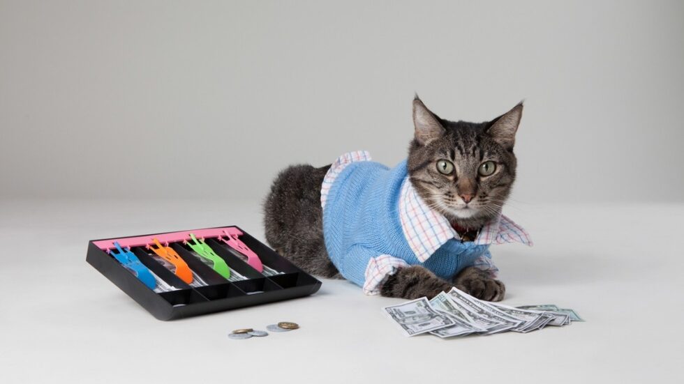 Fot. Found Animals Foundation/flickr.com