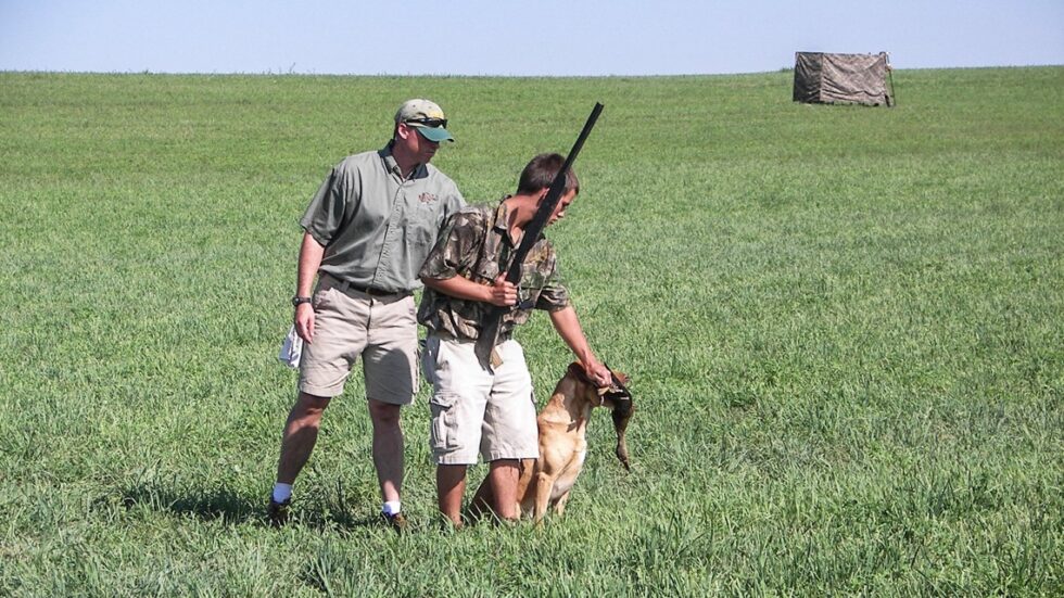 Fot. WELS net/flickr.com