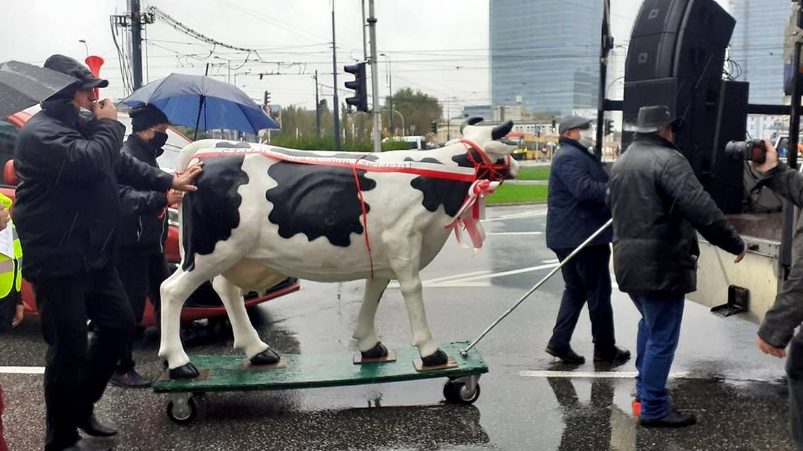 Protest rolników