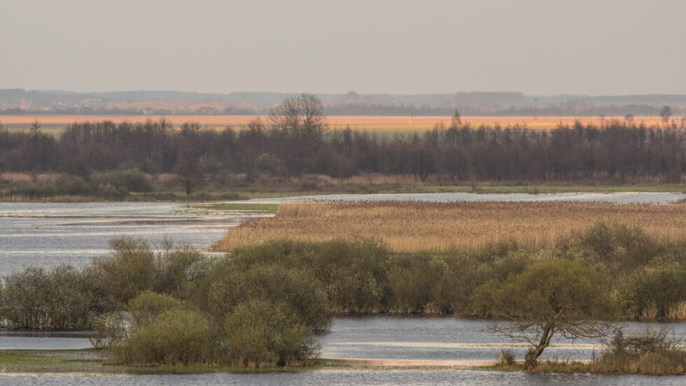 Fot. Michał Borucki