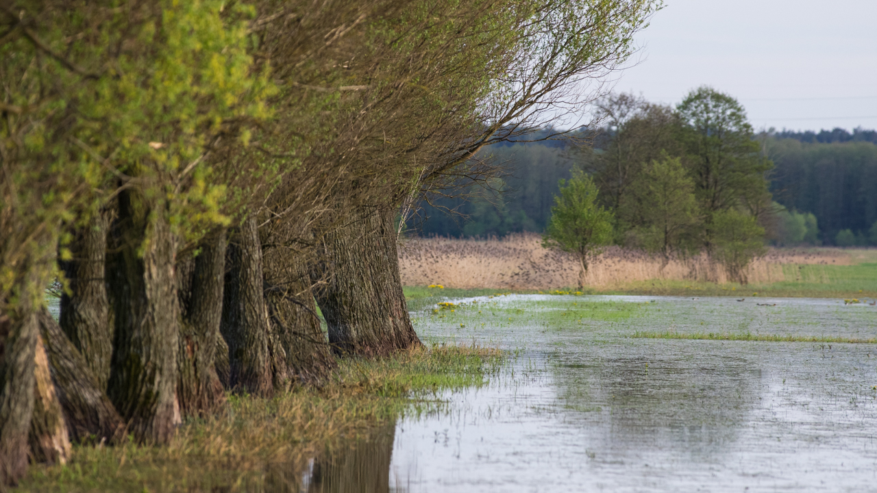 Fot. Michał Borucki