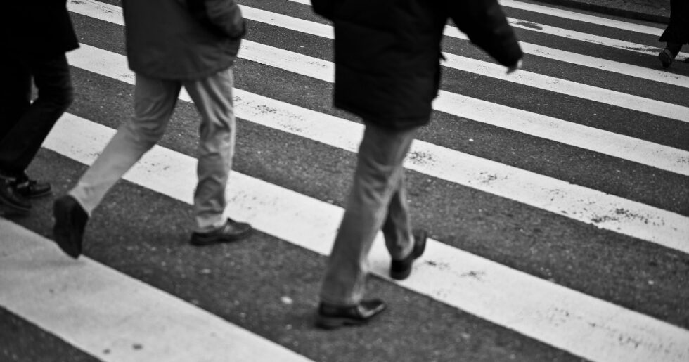 Fot. gato-gato-gato, flickr