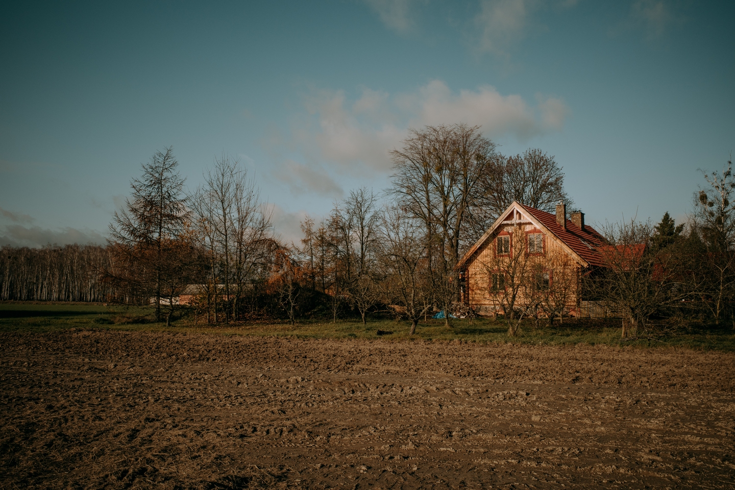 Dom na terenie ekologicznego gospodarstwa rolnego Moniki i Roberta Kuryluków we wsi Holeszów, fot. Dawid Żuchowicz