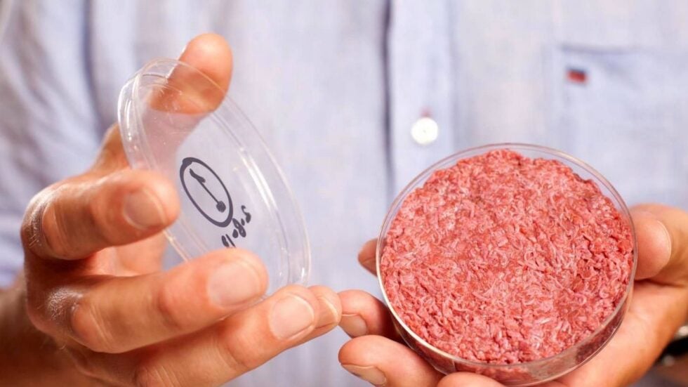 Fot. David Parry/EPA