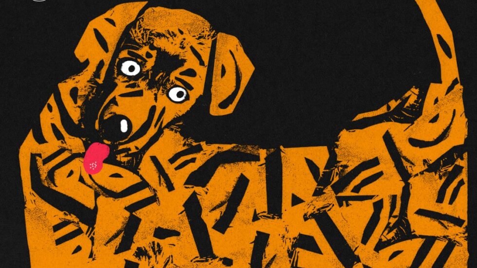 Cukry Kotas okładka kadr