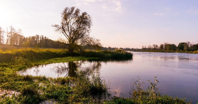 rzeka odra