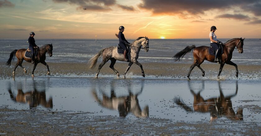 horse-riding-g8b00d653d_1920