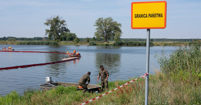 Widuchowa 14.08.2022 Katastrofa ekologiczna na Odrze. Strazacy wraz z zolnierzami WOT zbudowali zapore, do ktorej lapia martwe ryby.  Fot. Michał Adamski