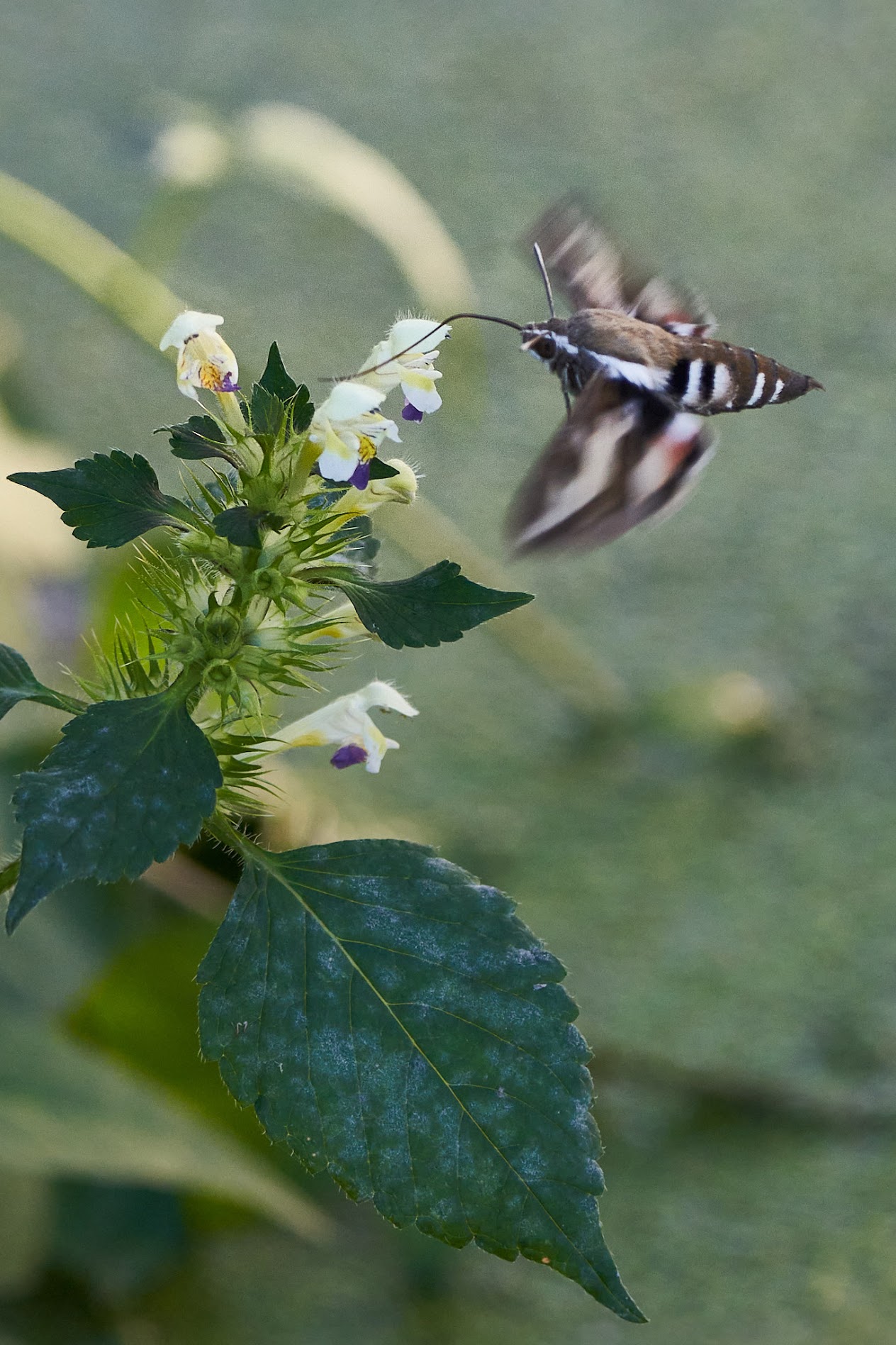 Manifest ciemności: czym jest dla mnie luksus i przywilej?