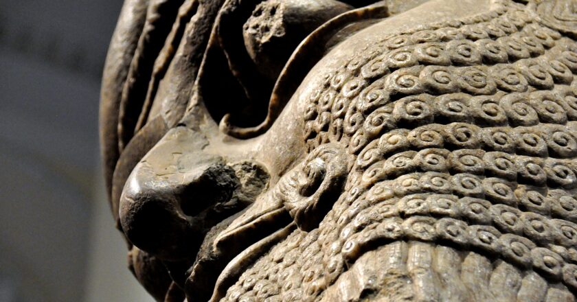 Lamassu w Muzeum Brytyjskim. Fot. Osama Shukir Muhammed Amin FRCP(Glasg)