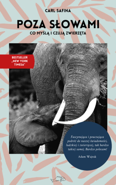 Okładka książki Poza słowami Carla Safiny
