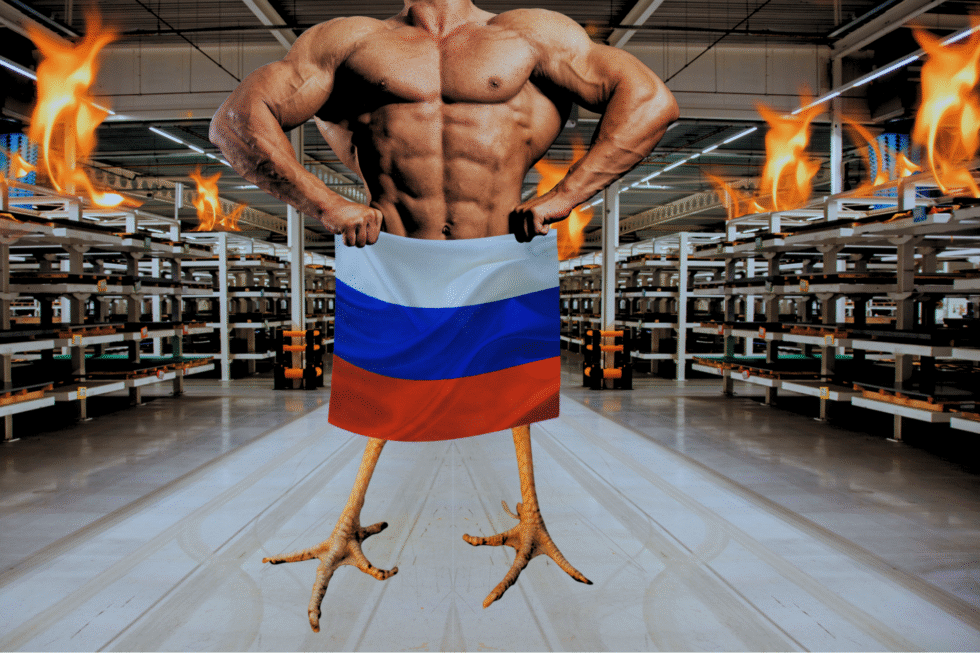 Muskularny tors zasłaniający biodra rosyjską flagą, spod której wystają chude kurze nogi. Z tyłu widać rzędy pustych sklepowych półek, które płoną