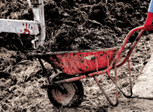 Obdarta, czerwona taczka, cieknąca z niej czerwona ciesz (krew), wypełniona ziemią, trzymana za uchwyty przez dłonie w czerwonych rękawiczkach