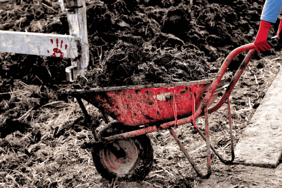 Obdarta, czerwona taczka, cieknąca z niej czerwona ciesz (krew), wypełniona ziemią, trzymana za uchwyty przez dłonie w czerwonych rękawiczkach